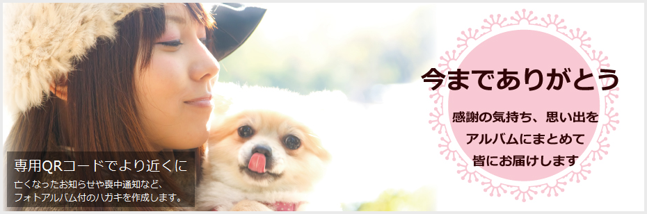 �y�b�g���h