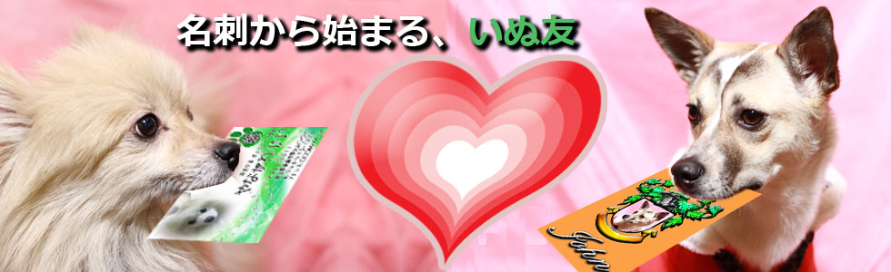 ���������̖��h